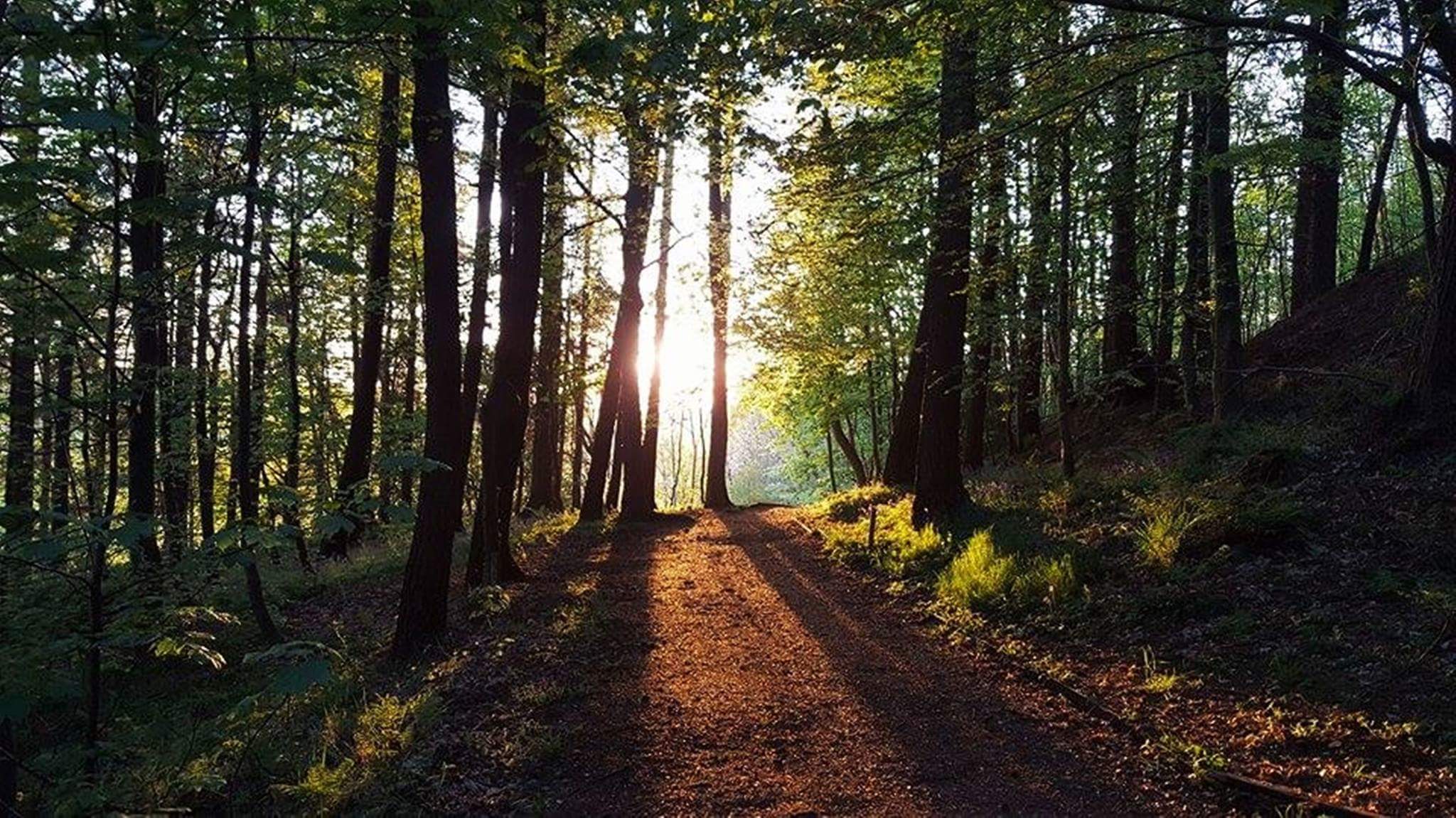 Bryan Frame Twilight Trundle At Mauldslie Woods