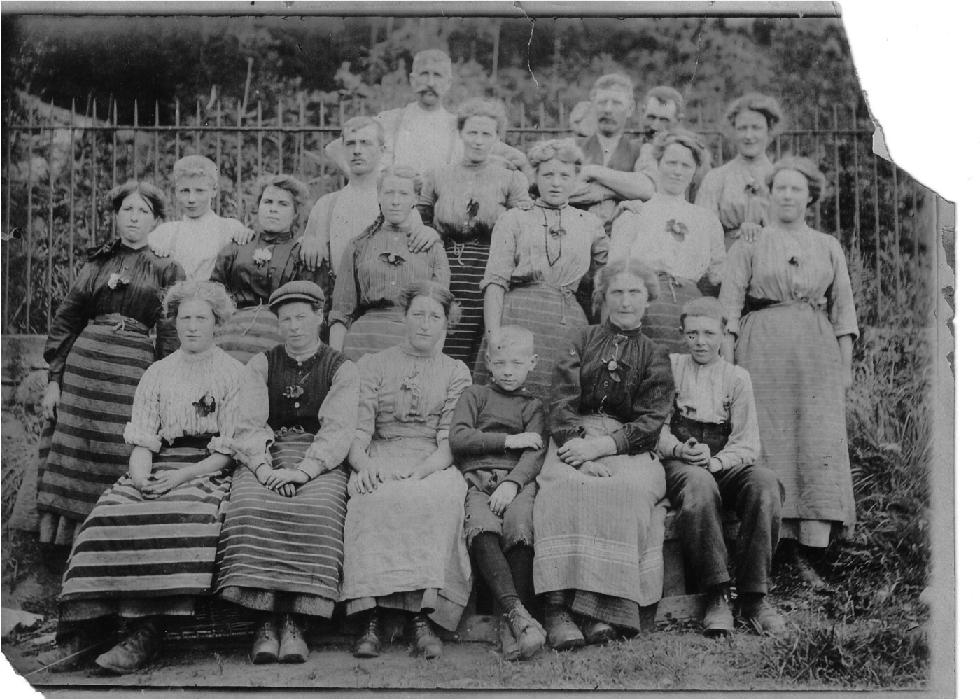 Explore the history of Clyde Valley fruit pickers in the displays