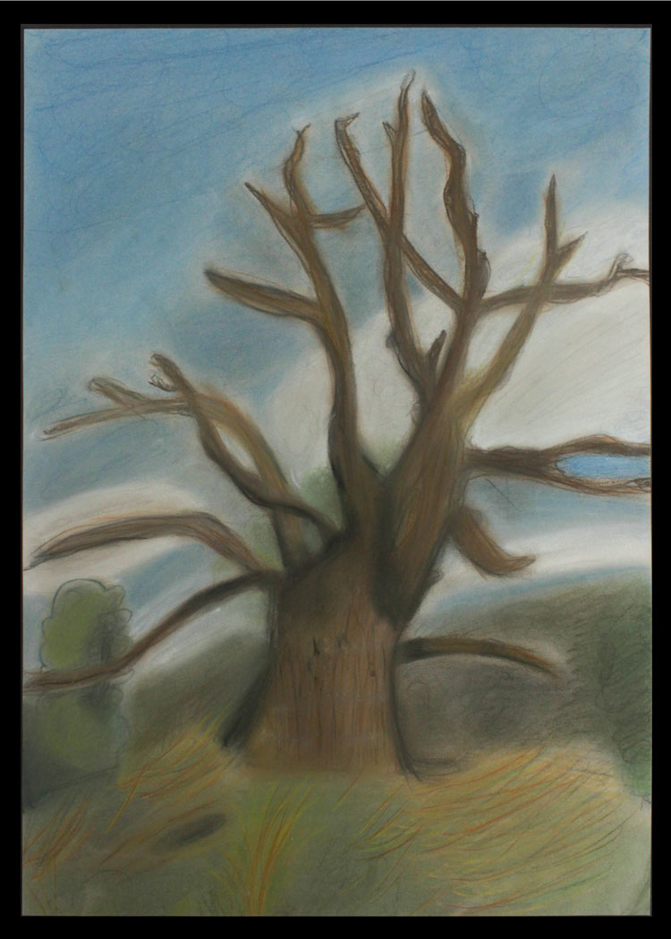 Iman Ahmad's pastel pencil artwork