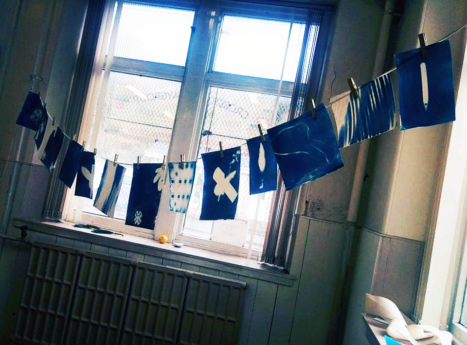 Hanging cyanotype images which form part of the display