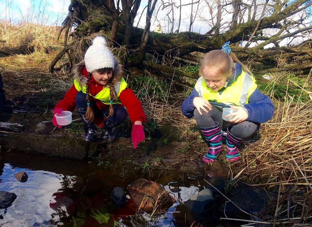 P4 pupils of Newfield Primary School say farewell to their brown trout fry, Clyde River  Foundation