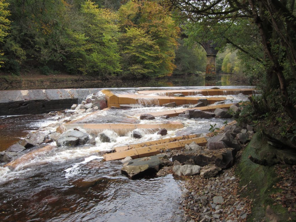 The completed fish pass at Ferniegair Weir, Larkhall, Rivers and Fisheries Trust Scotland