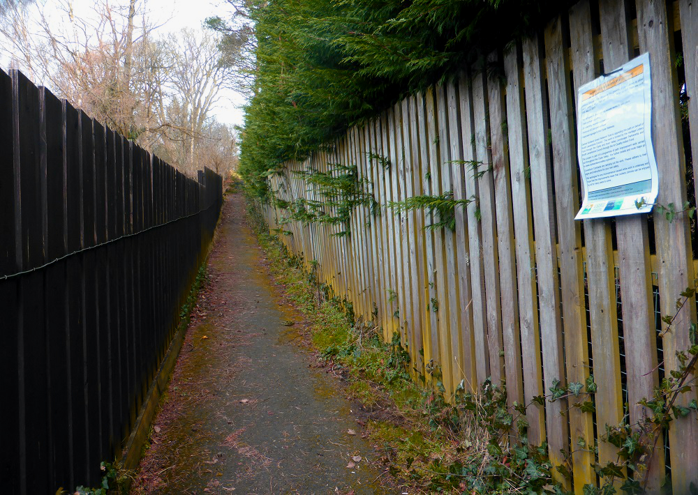 The upgraded Jookers Johnnie pathway will provide better green infrastructure for residents and visitors