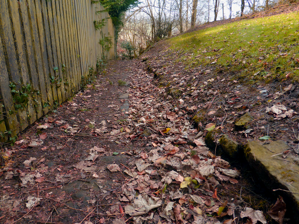 Jookers Johnnie, linking Lanark to the Clyde Walkway, will re-open 10th March