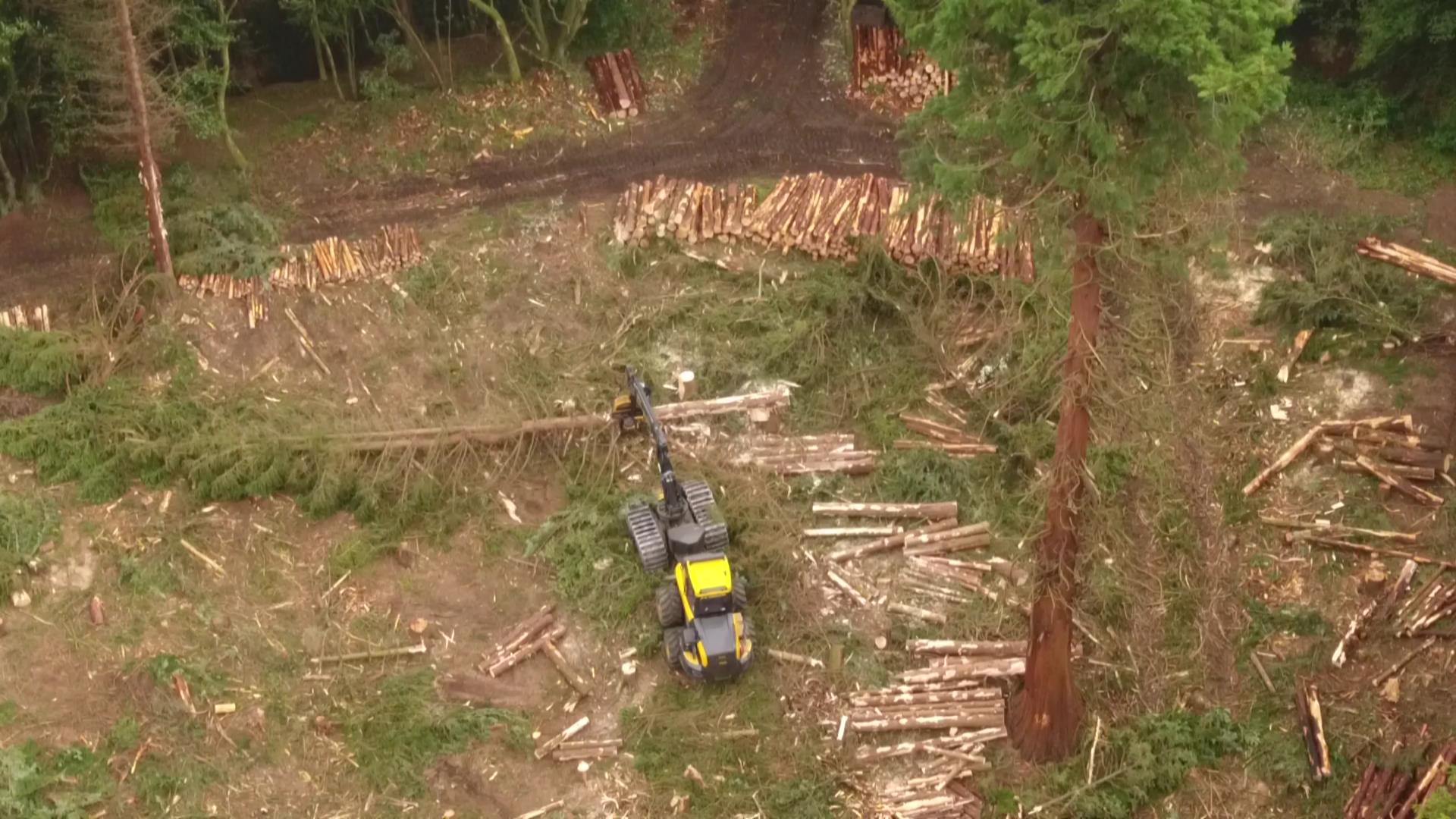 The forestry harvesters were designed specially to cope with steep terrain, courtesy of  Bjorn Aern, Drone Scotland, www.dronescotland.com