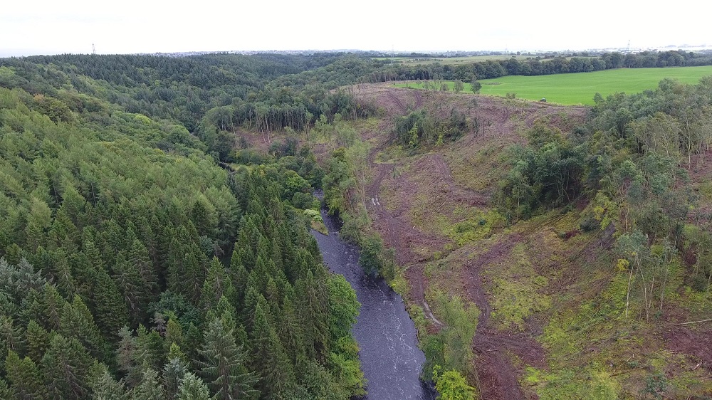18 hectares of plantation conifers were removed from the Country Park in 2016, courtesy of  Bjorn Aern, Drone Scotland, www.dronescotland.com