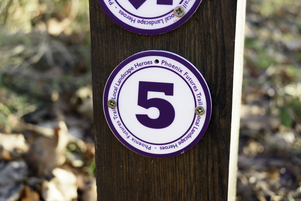 Follow the purple Local Landscape Heroes Phoenix Futures trail waymarkers along the route