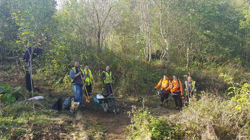 Volunteers at work in the Stonehouse Park woodland