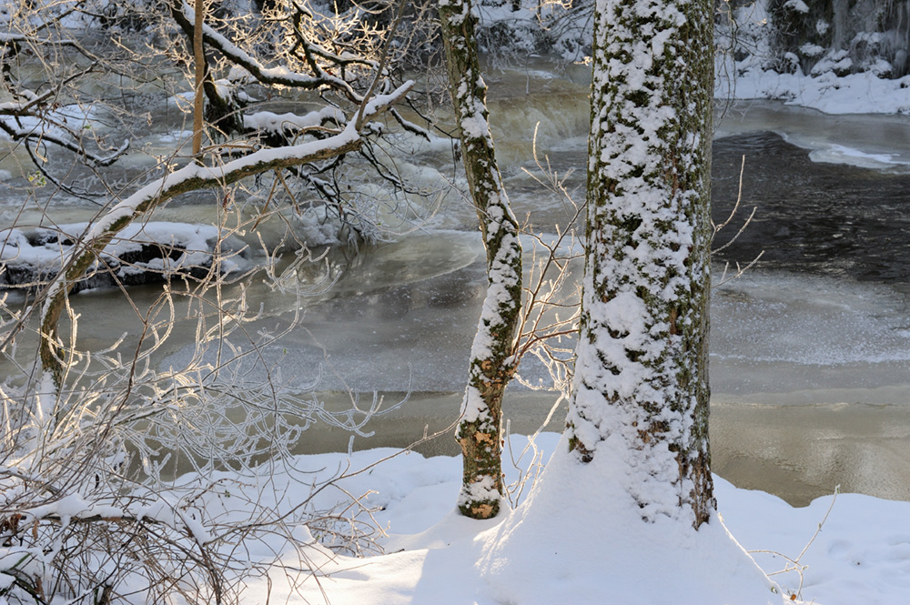 A snowy Cleghorn Glen and Mouse Water