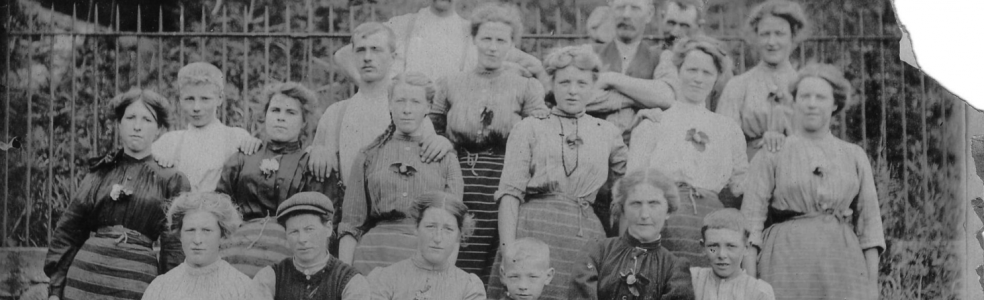 Memories collected from former fruit growers and pickers in the Clyde Valley have been used to inspire new folk songs written by the Lanarkshire Songwriters. Image courtesy of Tom Clelland