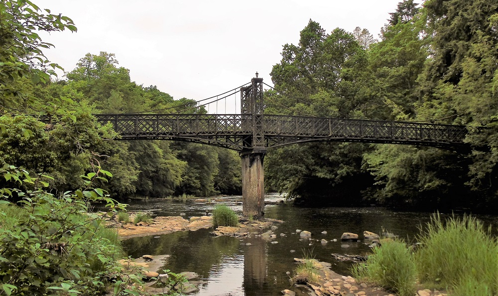 2. Clyde Walkway to Big Wood (1km)