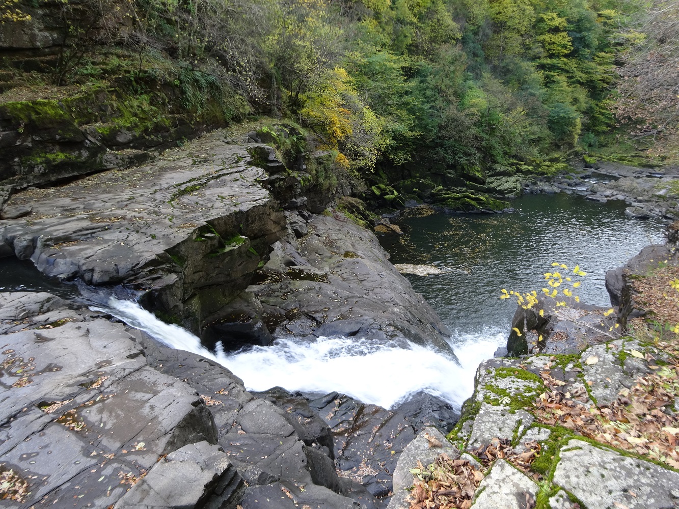 4. Stonebyres Hydro-Power Station to Stonebyres Linn (300metres)
