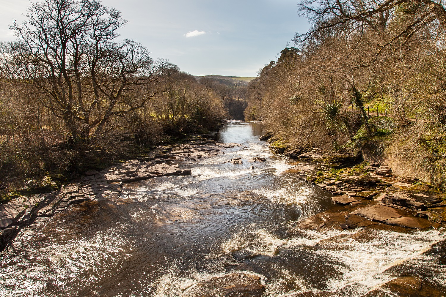 8. Kirkfieldbank Community Orchard to Stonebyres Falls via Stonebyres Weir (footbridge) (700m)
