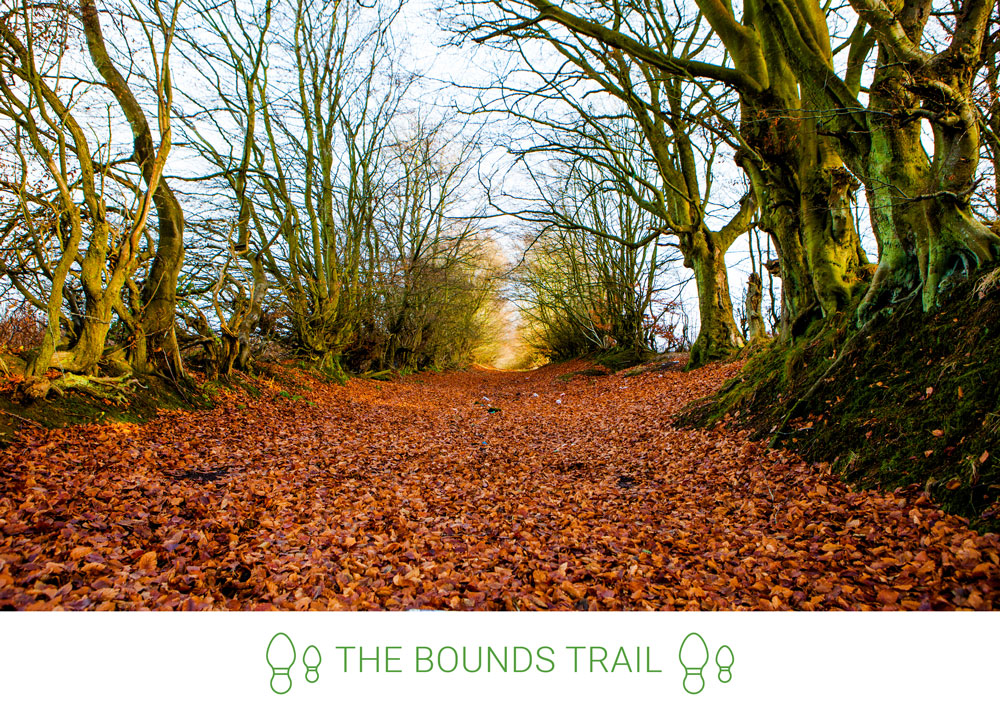 7. From the park, link to Moorside Street and Woodend Road, then take a left up this wooded lane.