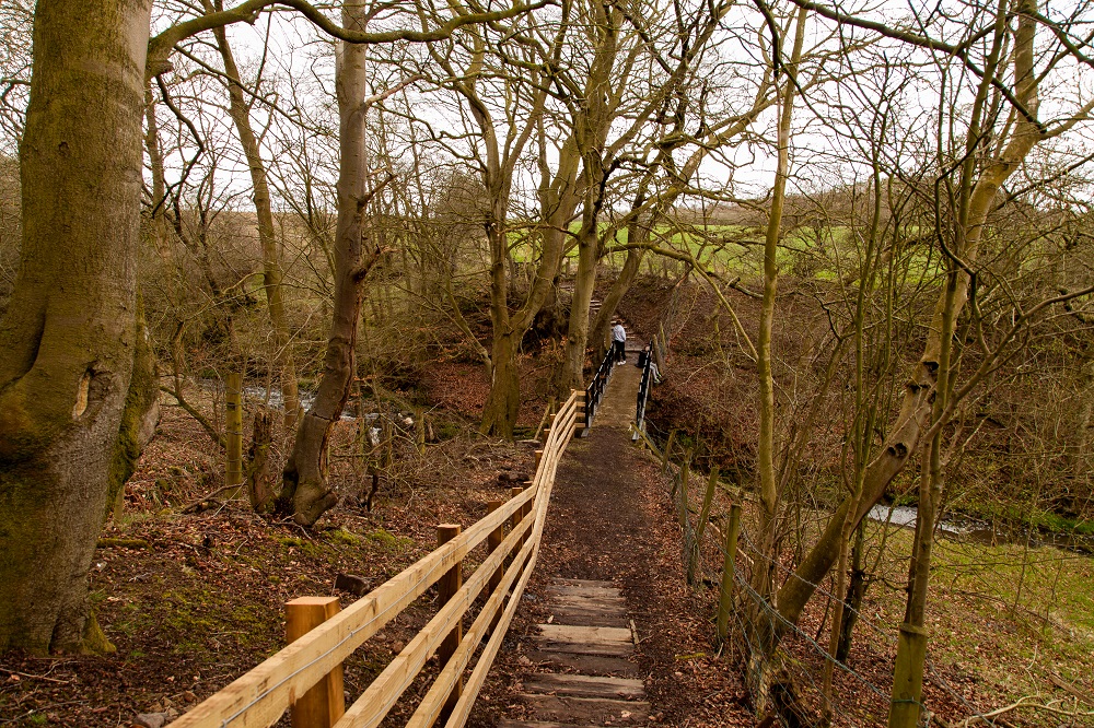 Stage 2. Netherburn Road to Old Railway Line (500 metres)