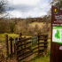 Entering Lower Nethan Gorge from Craignethan Castle