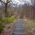 Improved access through Lower Nethan Gorge