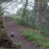 WINNER: Jillian Slater – Badger at Cleghorn Glen