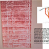 Shed stick print and dyed wool, recalling colours that may have tinted the Avon Water