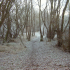 Winter Footpath