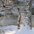 A snowy Cleghorn Glen and Mouse Water